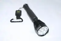 projectorche