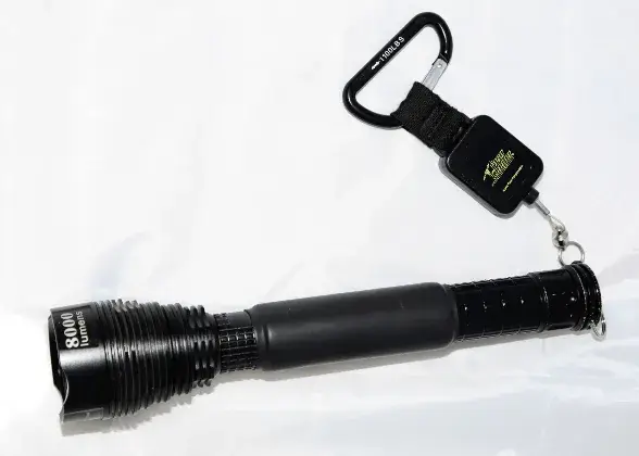 projectorche