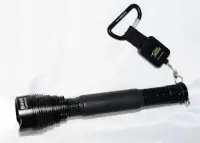 projectorche